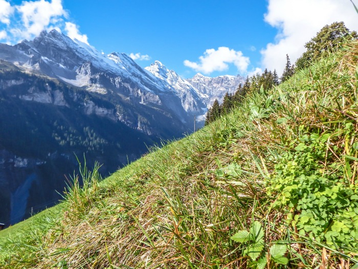 Gimmelwald, Switzerland | Hiking in the Swiss Alps | Murren | mountains | mountainside