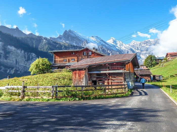 Gimmelwald, Switzerland | Hiking in the Swiss Alps | Murren | mountains | cows | Where is gimmelwald? | Where to stay in Gimmelwald | Hiking trails |