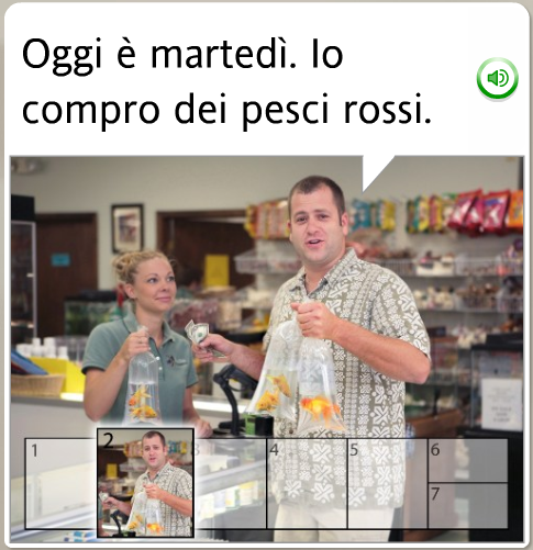 The funniest Rosetta Stone stock images: Italian, on Tuesday we buy fish
