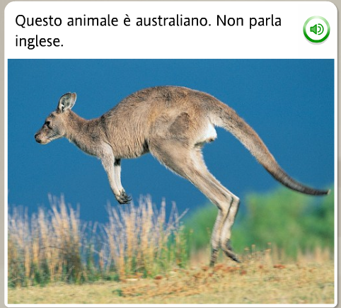 The funniest Rosetta Stone stock images: Italian, the kangaroo does not speak english