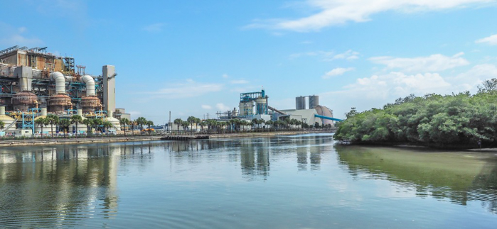 Tampa's Manatee Viewing Center | Apollo Beach, Tampa, Florida | Tampa Electric Company | TECO | Florida Manatees | Florida wildlife | Free things to do in Tampa | What to do in Tampa | Fun things to do in Tampa | viewing platform and power plants