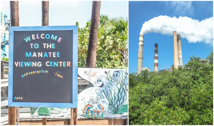 Tampa's Manatee Viewing Center | Apollo Beach, Tampa, Florida | Tampa Electric Company | TECO | Florida Manatees | Florida wildlife | Free things to do in Tampa | What to do in Tampa | Fun things to do in Tampa | welcome sign
