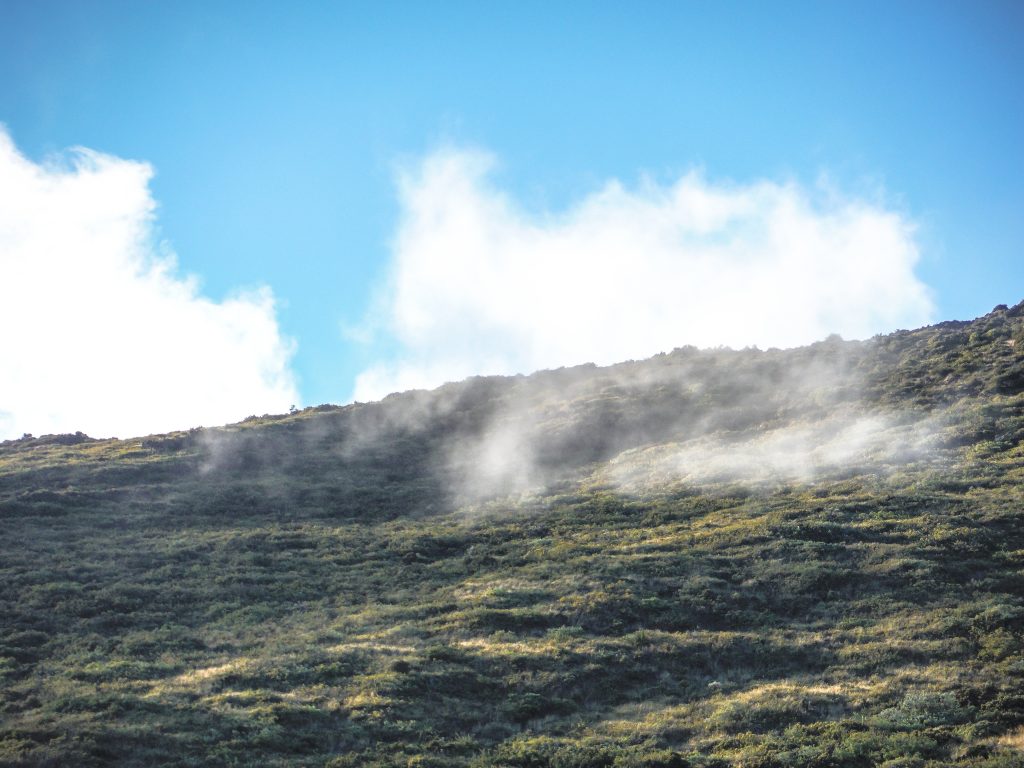 Haleakala National Park | Haleakala Crater | Maui, Hawaii | Sunrise experience and mountain biking | Nene state goose | Wildlife, lavender, eucalyptus, scenery | lunar landscape