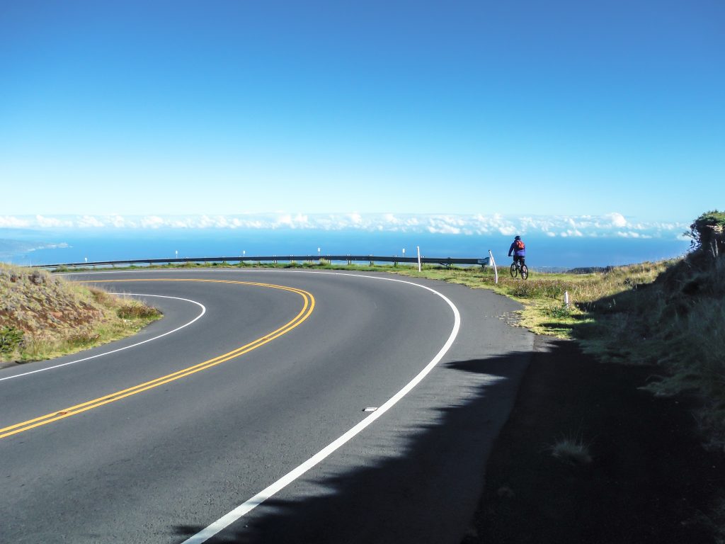 Haleakala National Park | Haleakala Crater | Maui, Hawaii | Sunrise experience and mountain biking | Nene state goose | Wildlife, lavender, eucalyptus, scenery | lunar landscape