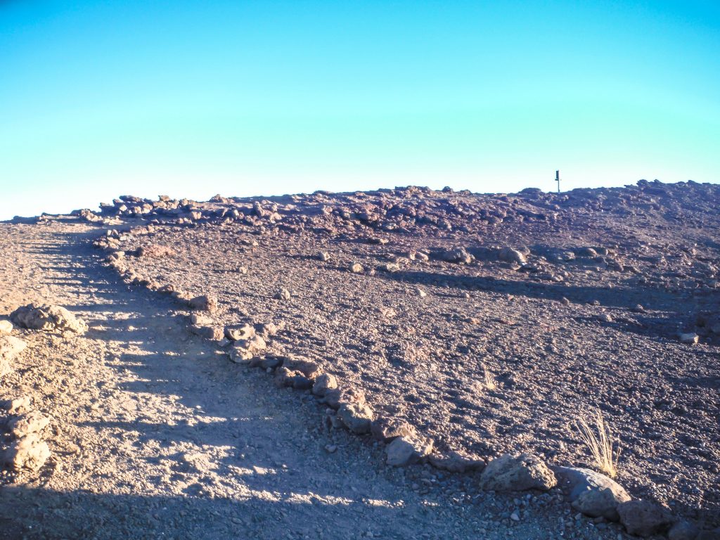 Haleakala National Park | Haleakala Crater | Maui, Hawaii | Sunrise experience and mountain biking | Nene state goose | Wildlife, lavender, eucalyptus, scenery | lunar landscape
