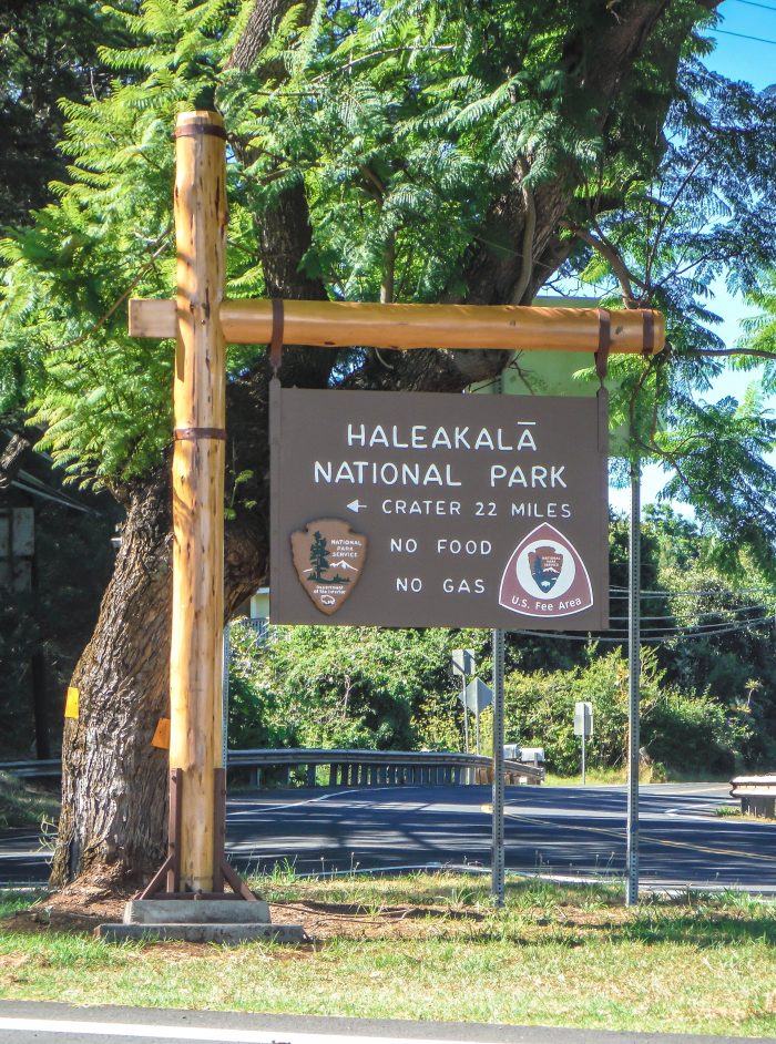 Haleakala National Park | Haleakala Crater | Maui, Hawaii | Sunrise experience and mountain biking | Nene state goose | Wildlife, lavender, eucalyptus, scenery