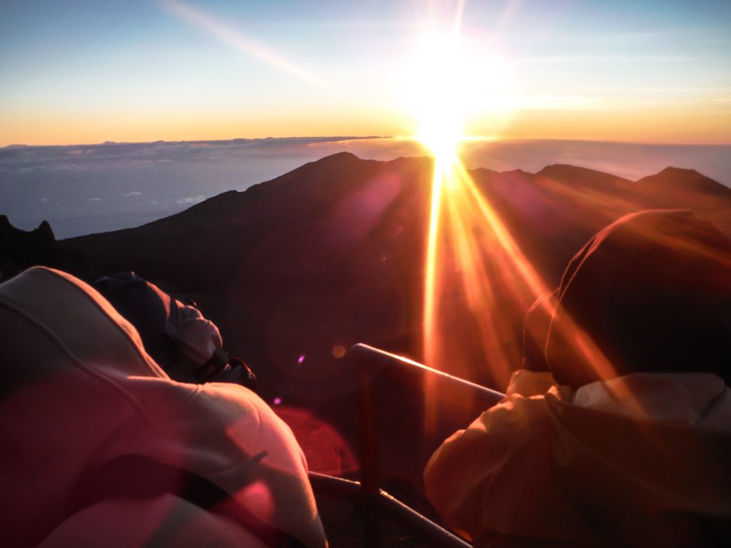 Haleakala National Park | Haleakala Crater | Maui, Hawaii | Sunrise experience and mountain biking | Nene state goose | Wildlife, lavender, eucalyptus, scenery | lunar landscape