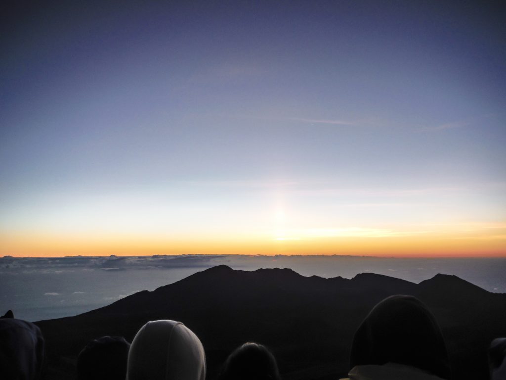 Haleakala National Park | Haleakala Crater | Maui, Hawaii | Sunrise experience and mountain biking | Nene state goose | Wildlife, lavender, eucalyptus, scenery | lunar landscape