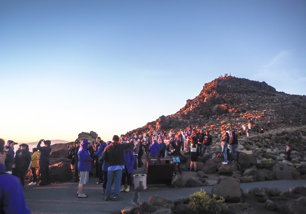 Haleakala National Park | Haleakala Crater | Maui, Hawaii | Sunrise experience and mountain biking | Nene state goose | Wildlife, lavender, eucalyptus, scenery | lunar landscape
