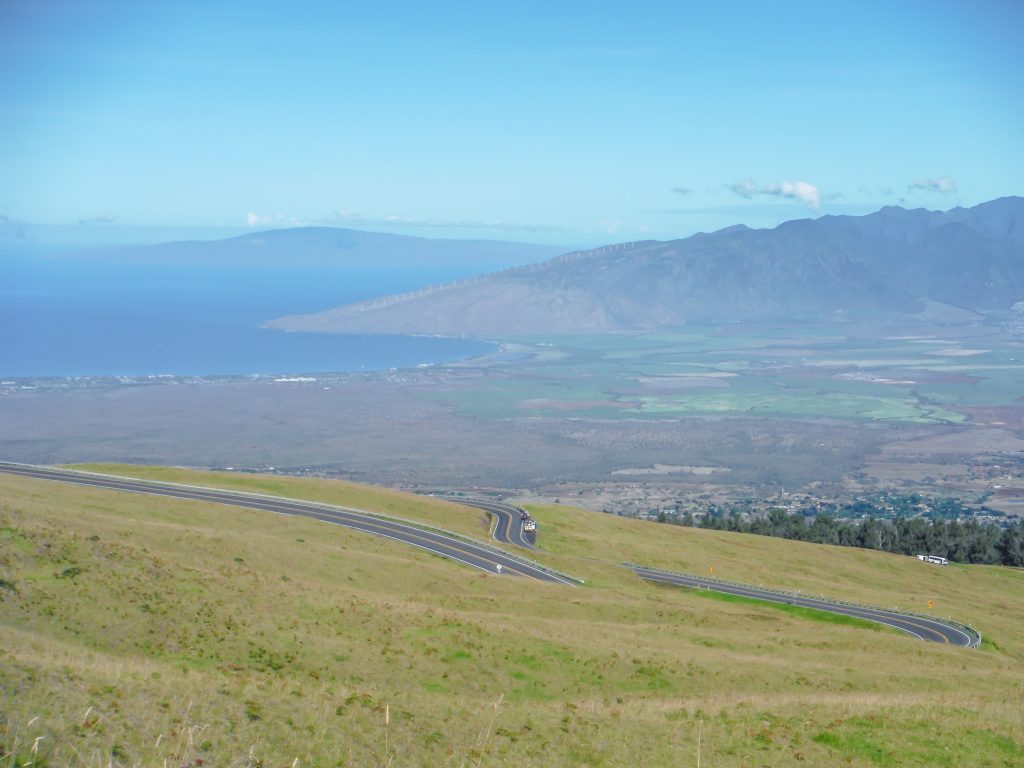 Haleakala National Park | Haleakala Crater | Maui, Hawaii | Sunrise experience and mountain biking | Nene state goose | Wildlife, lavender, eucalyptus, scenery | lunar landscape