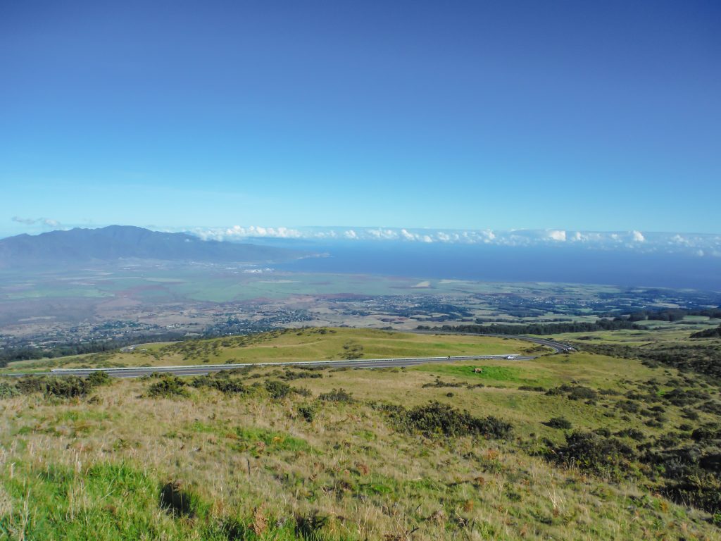 Haleakala National Park | Haleakala Crater | Maui, Hawaii | Sunrise experience and mountain biking | Nene state goose | Wildlife, lavender, eucalyptus, scenery | lunar landscape