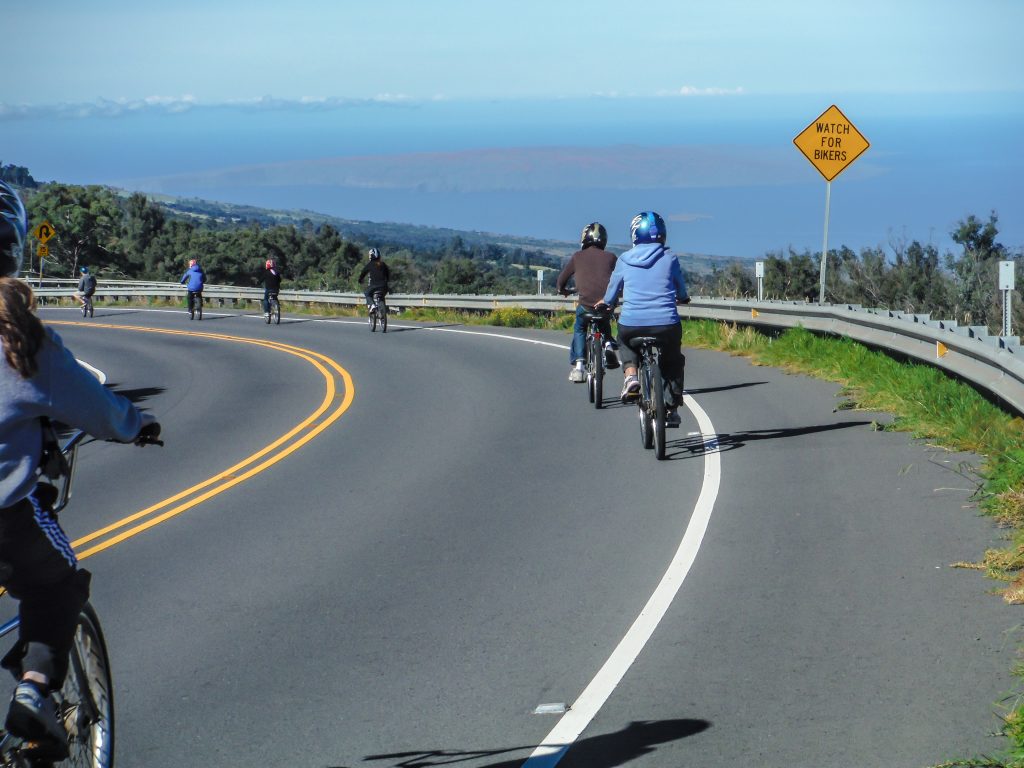 Haleakala National Park | Haleakala Crater | Maui, Hawaii | Sunrise experience and mountain biking | Nene state goose | Wildlife, lavender, eucalyptus, scenery | lunar landscape