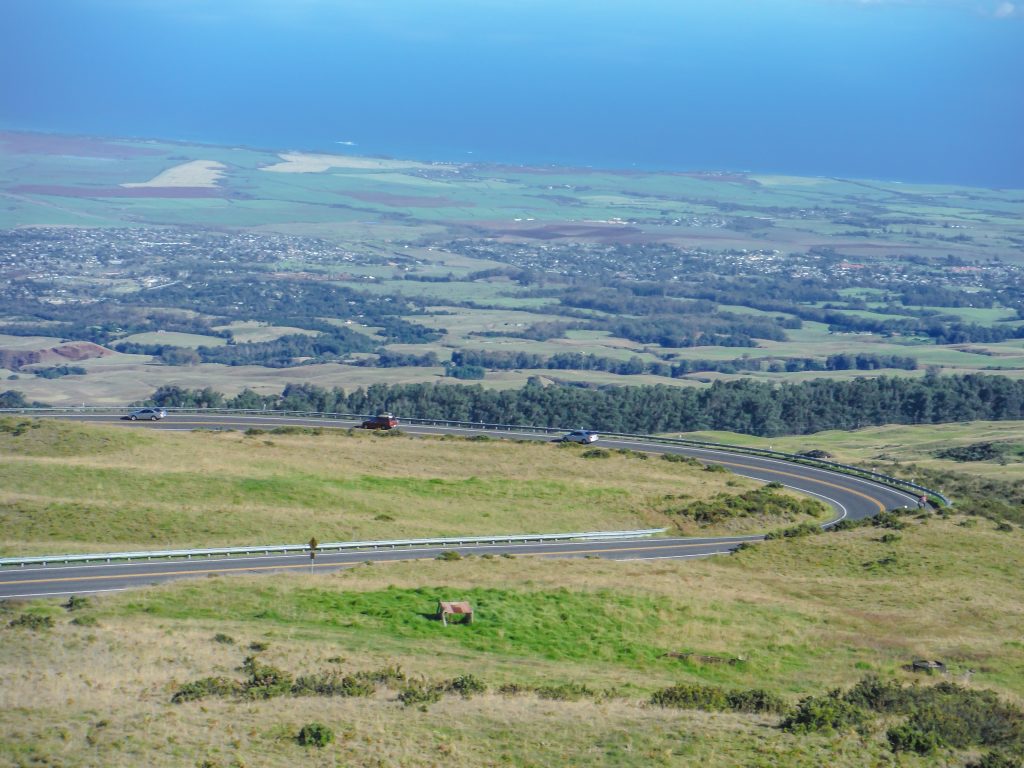 Haleakala National Park | Haleakala Crater | Maui, Hawaii | Sunrise experience and mountain biking | Nene state goose | Wildlife, lavender, eucalyptus, scenery | lunar landscape