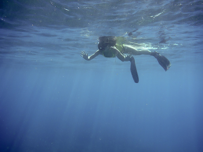 Do This, Not That // Snorkeling in Hawaii | Oahu, Maui | Hawaii Snorkeling tips | Pacific Ocean | Hawaii snorkeling dos and don'ts | Hawaii travel tips | Things to do in Hawaii | What to do in Oahu | Sea Turtles, dolphins, whales, fish