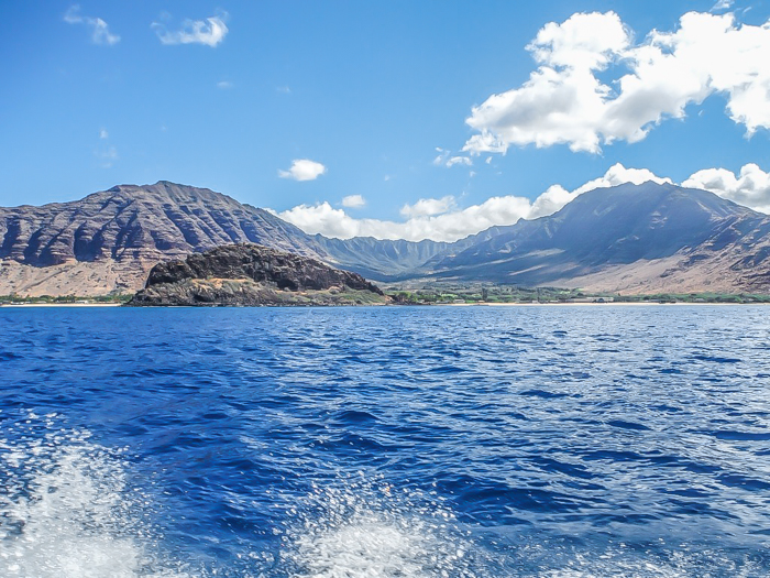 Do This, Not That // Snorkeling in Hawaii | Oahu, Maui | Hawaii Snorkeling tips | Pacific Ocean | Hawaii snorkeling dos and don'ts | Hawaii travel tips | Things to do in Hawaii | What to do in Oahu | Sea Turtles, dolphins, whales, fish