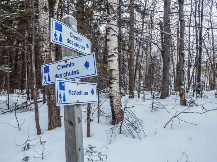 Ice Canyoning in Québec // Why You Should Be All up in This | Signs seen while ice canyoning in Québec