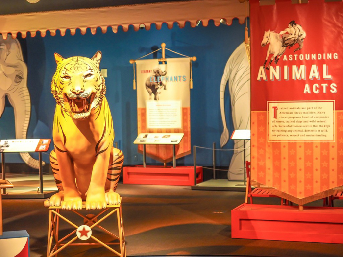 How creepy is the Ringling Brothers Circus Museum | Sarasota, Florida | Barnum and Bailey Circus | Greatest Show on Earth | The Greatest Showman | Circus history | Clowns | animals, tigers