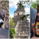 Belize to Tikal Day Trip: Important Tips for Your Guatemala Day Tours | San Ignacio, Belize to Tikal National Park, gallo beer, coatimundis, ancient Maya temples