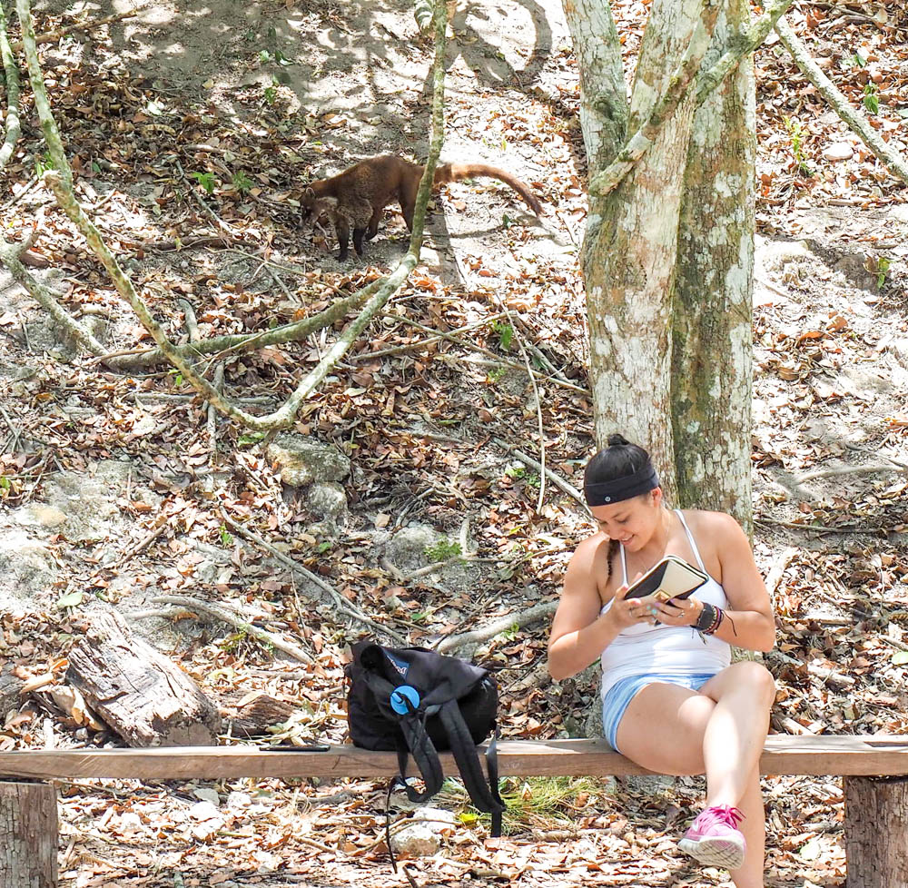 brown animal sneaking up behind woman on a bench in the jungle