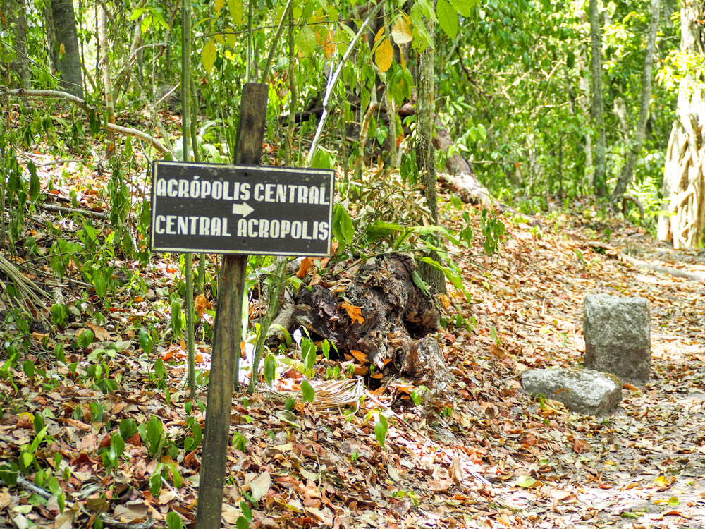 sign reading central acropolis in the jungle on belize to tikal day trip