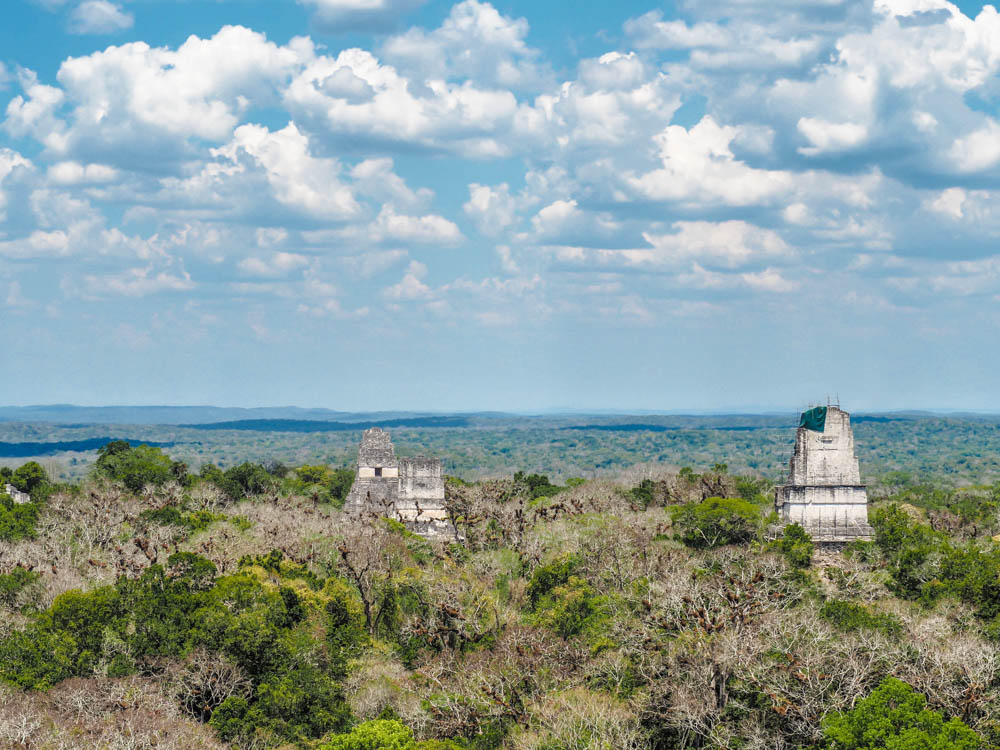 ancient temples peeking out over the tree canopy as seen from above