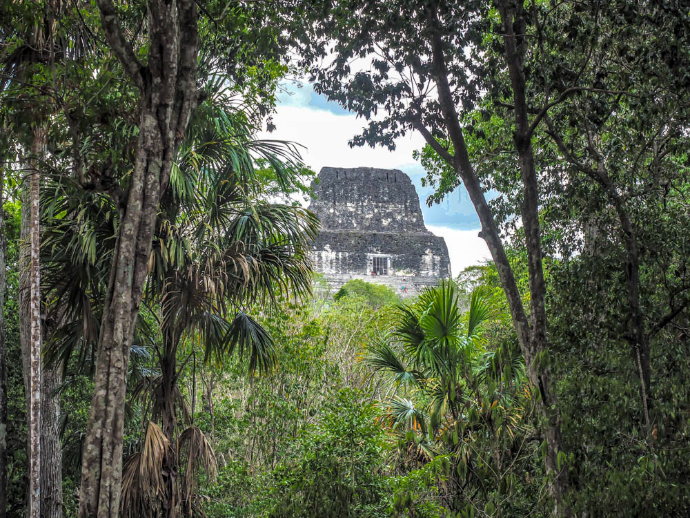 top of ancient temple seen through jungle trees