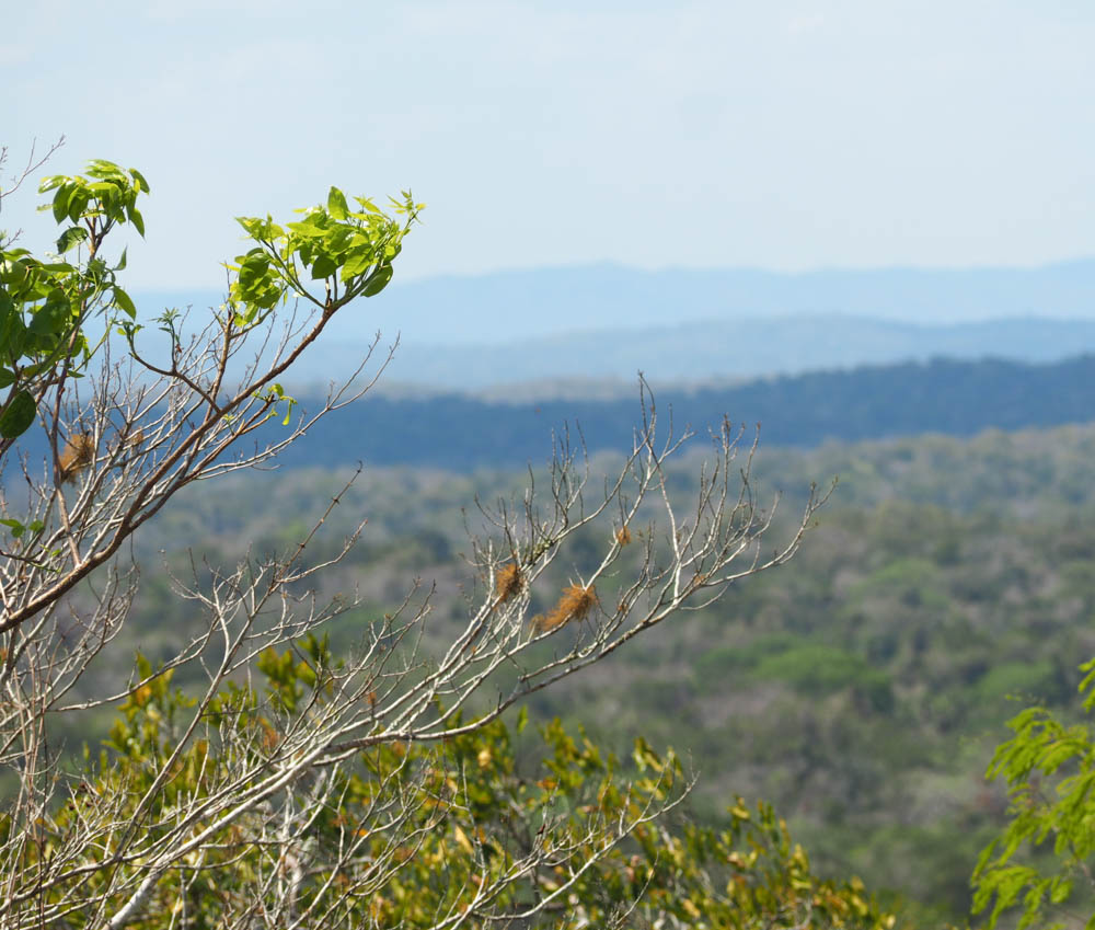 far off views of countryside from above on belize to tikal day trip