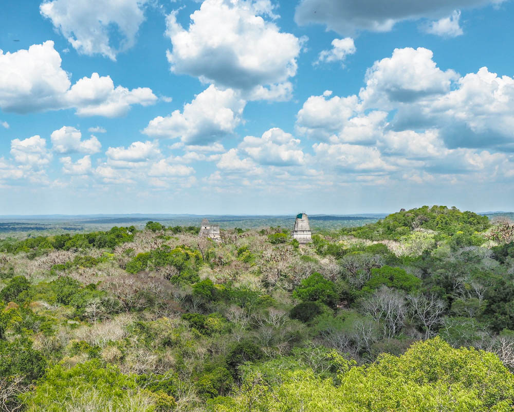 ancient temples peeking out over the tree canopy as seen from above