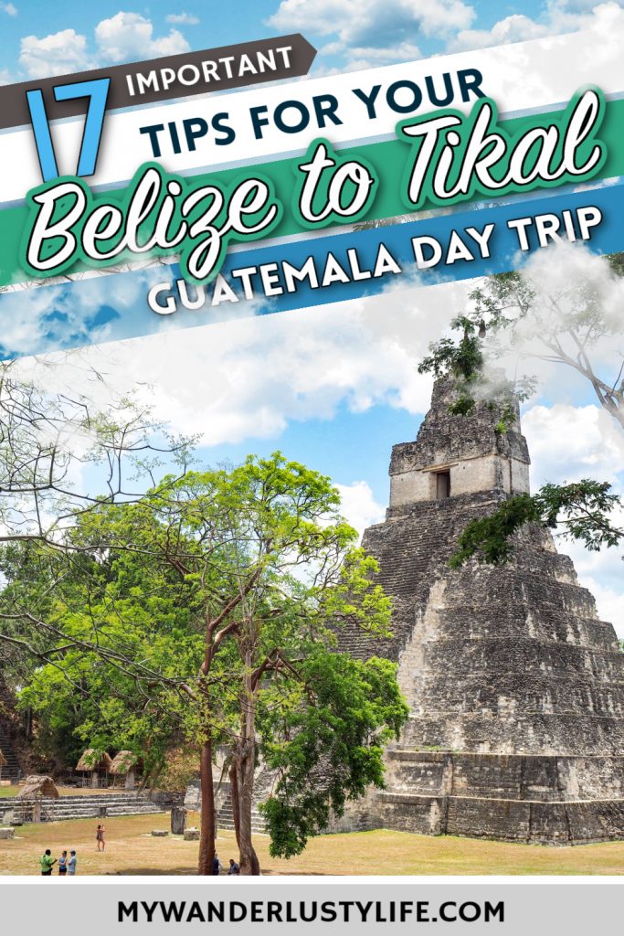 Belize to Tikal Day Trip: Important Tips for Your Guatemala Day Tours | San Ignacio, Belize to Tikal National Park, gallo beer, coatimundis, ancient Maya temples, Peten, Star Wars filming location