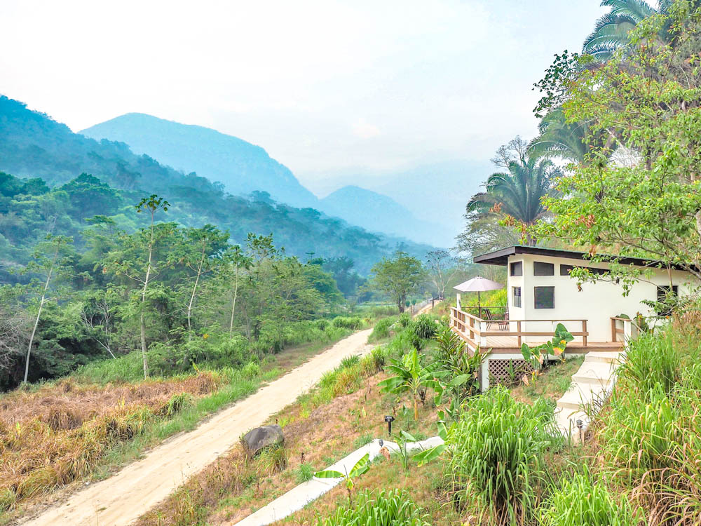 cabin in the jungle in the misty morning