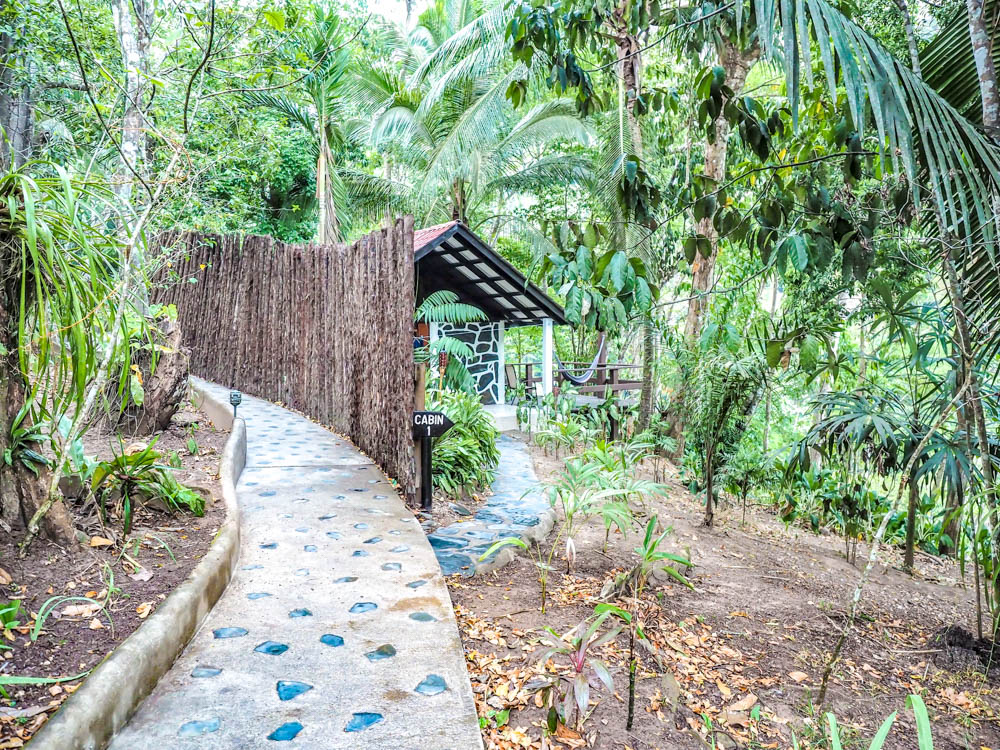 small cabin hidden away in the jungle at black rock lodge in belize