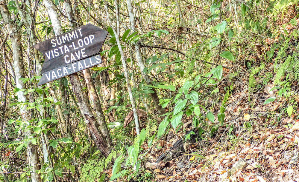 hiking signs on a tree in the jungle at black rock lodge in belize