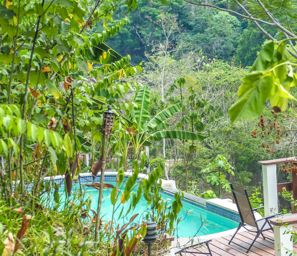 pool in the jungle at black rock lodge in belize