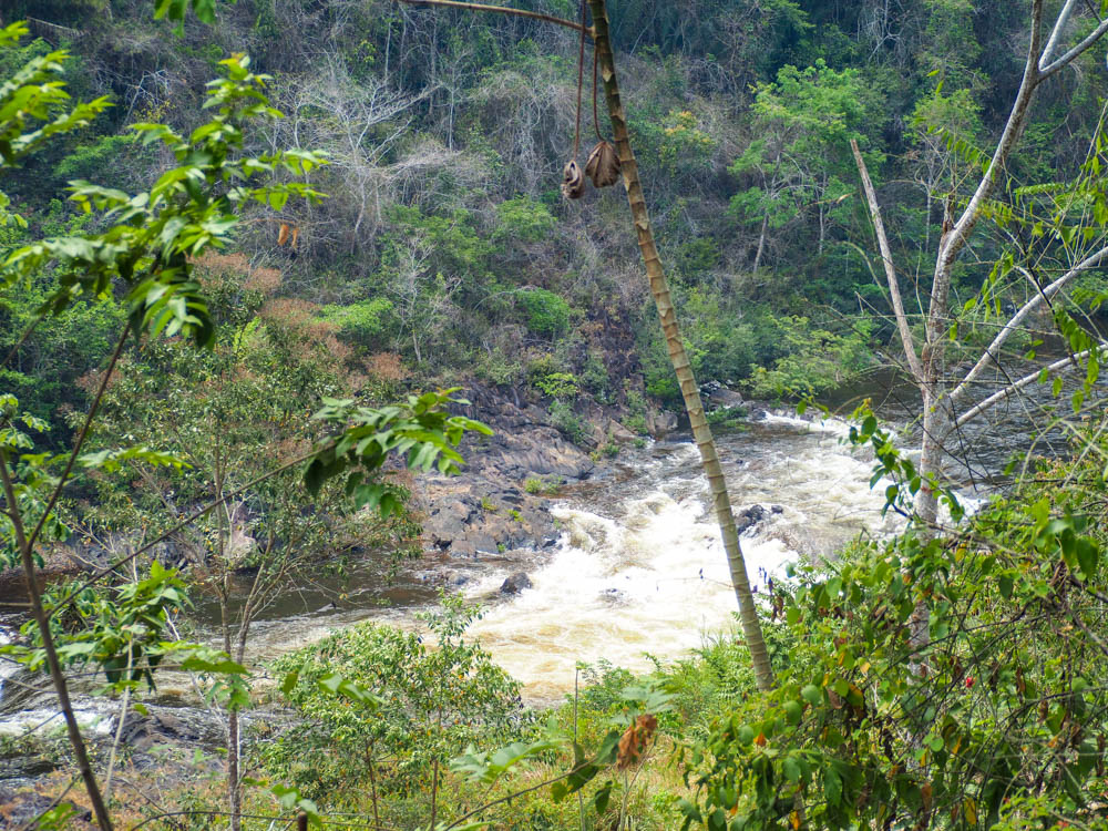 river rapids in the jungle at black rock lodge