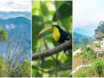Black Rock Lodge in Belize: Honest Review + What You Need to Know, San Ignacio eco-lodge in the Belize jungle