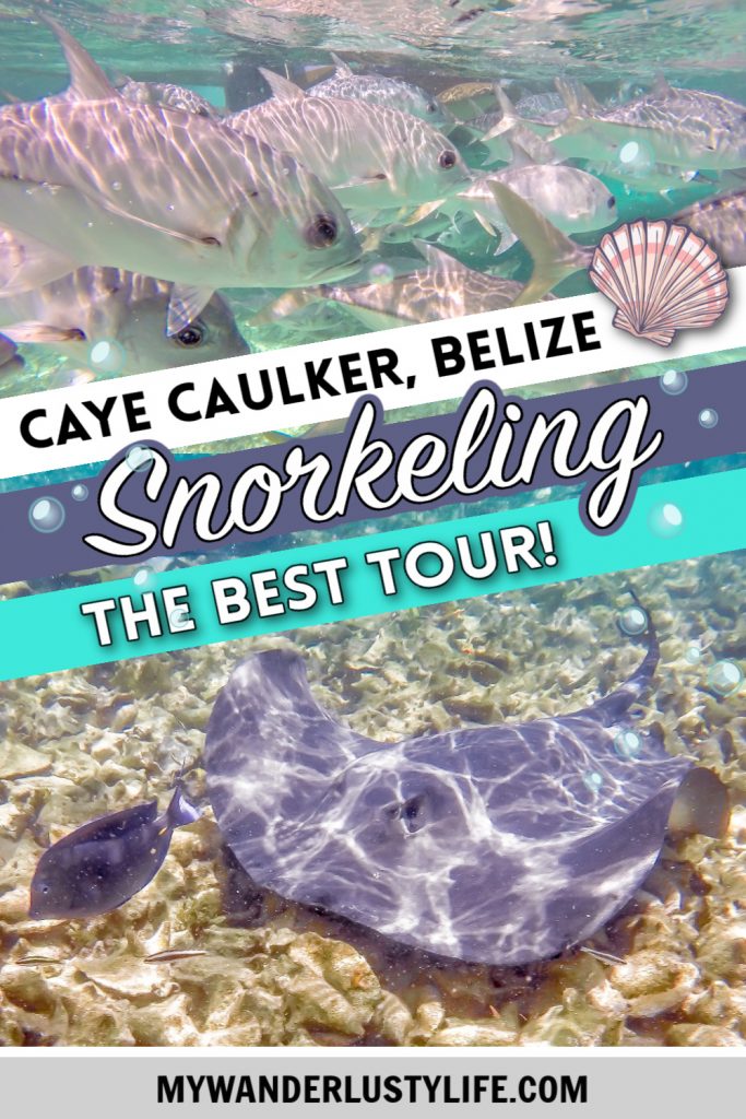 Caye Caulker snorkeling in Belize | Caveman Snorkeling Tours, the best Belize snorkeling tour #belize #snorkeling #cayecaulker