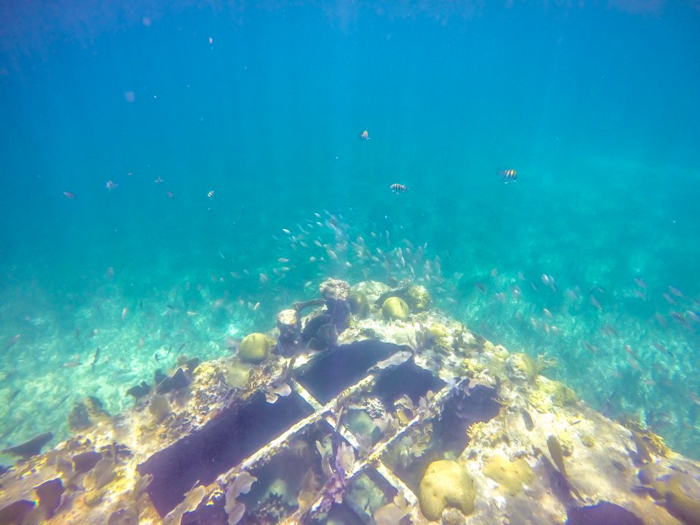 sunken barge surrounded by fish | Snorkeling in Belize with Caye Caulker's Caveman Snorkeling Tours