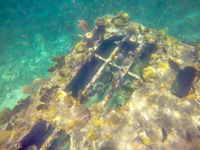 sunken barge covered in sealife | Caye Caulker snorkeling with Caveman Snorkeling Tours