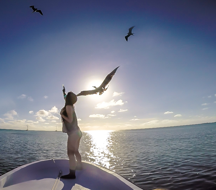 Snorkeling | Belize | Feeding birds with Caveman Snorkeling Tours in Caye Caulker, Belize