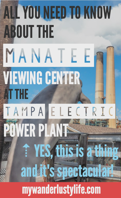 All you need to know about the Manatee Viewing Center at the Tampa Electric Company power plant. Yes, this is a thing!