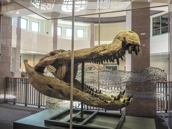 3 cities in 3 days in Texas | Dallas, Austin, San Antonio | What to do in Texas | Where to go in Texas | What to see in Texas | Dallas CityPASS | Austin, Bullock Texas State History Museum, Big Bend exhibit