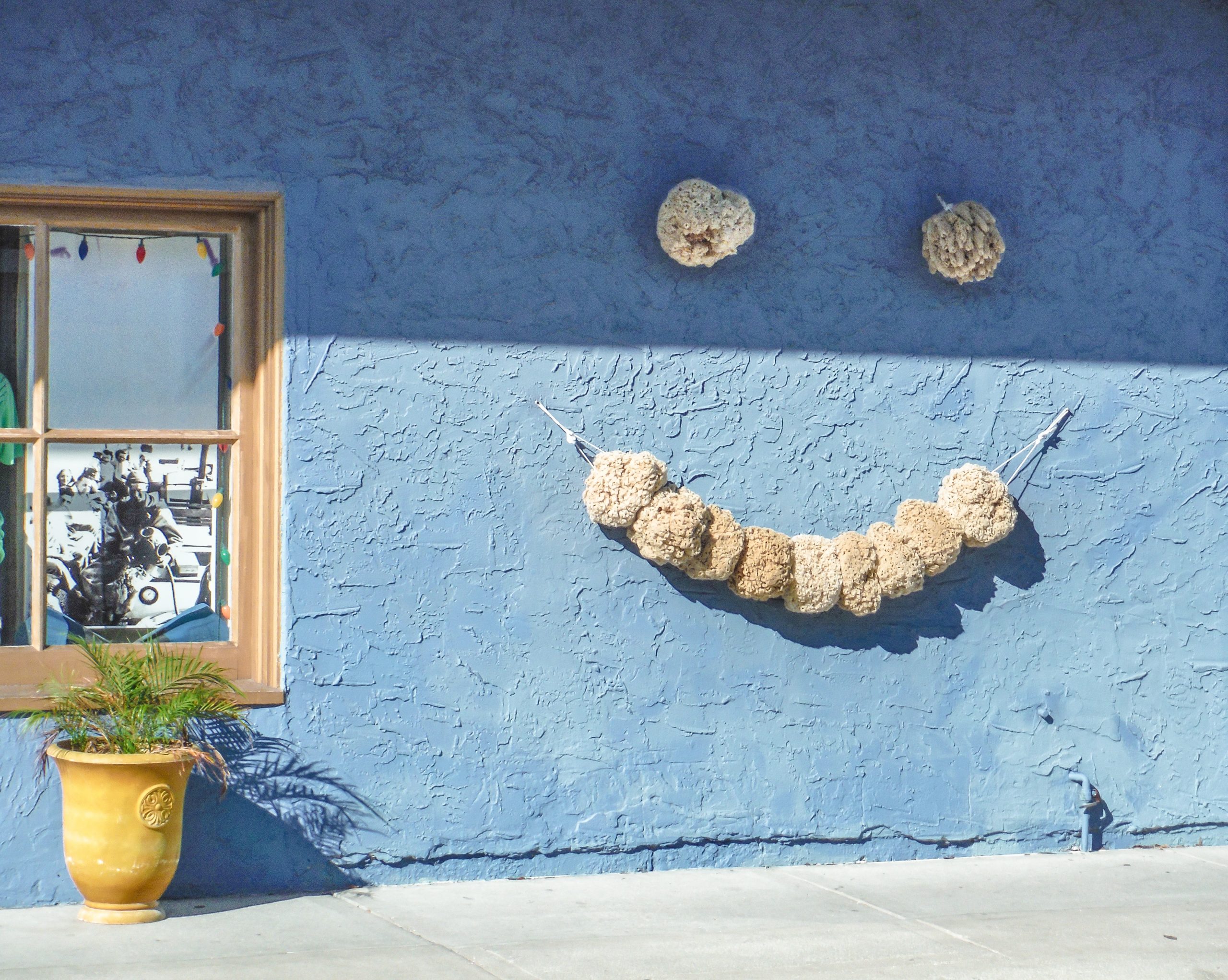 Sponges on display at the Sponge Docks in Tarpon Springs, Florida