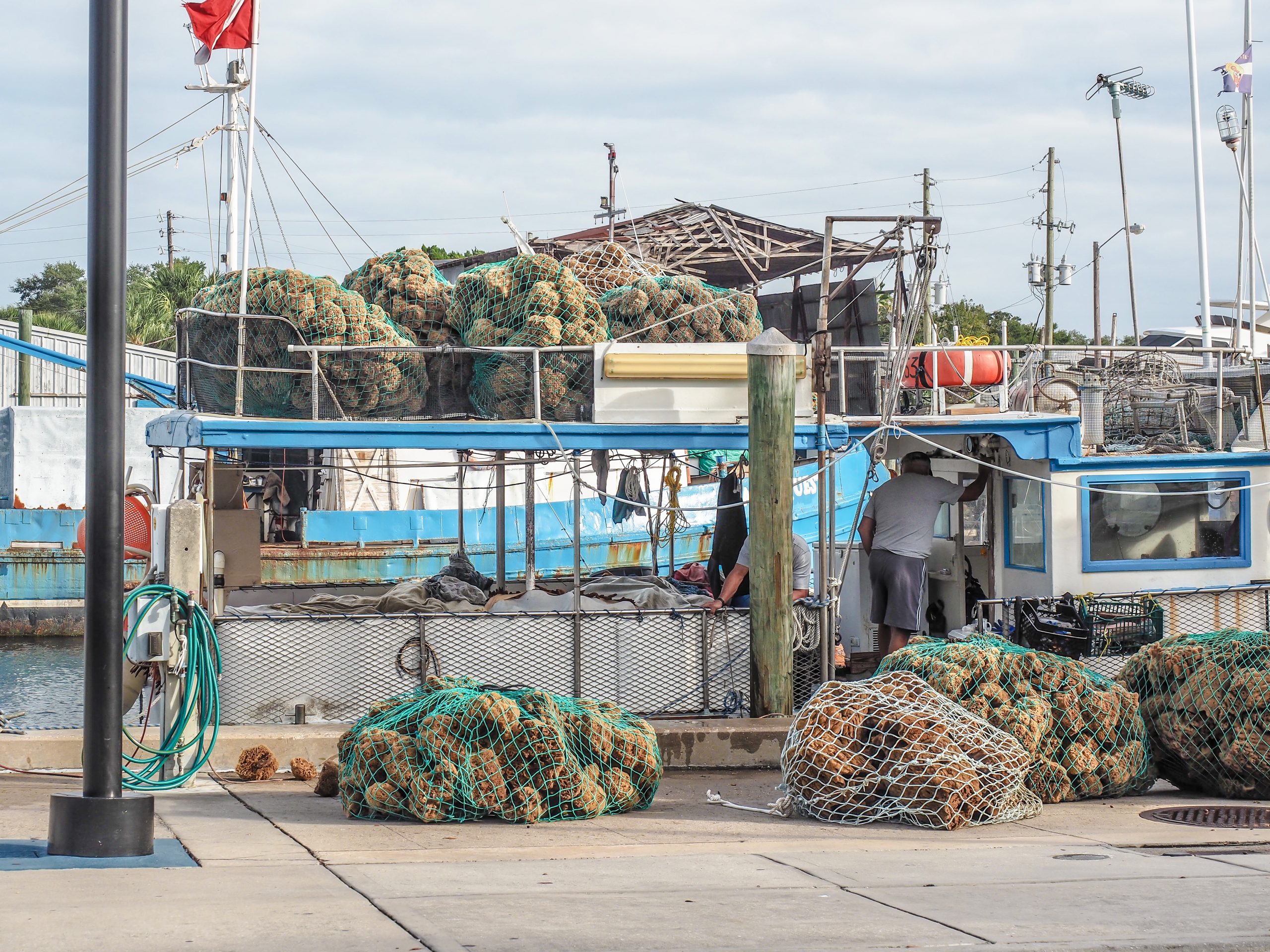 Incoming haul at the Sponge Docks in Tarpon Springs, Florida