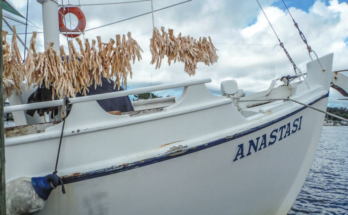 Greeking out at the Tarpon Springs Sponge Docks | What to do in the Tampa Bay area | Greek community | Greek food | Sponge capital of the world | so many sponges