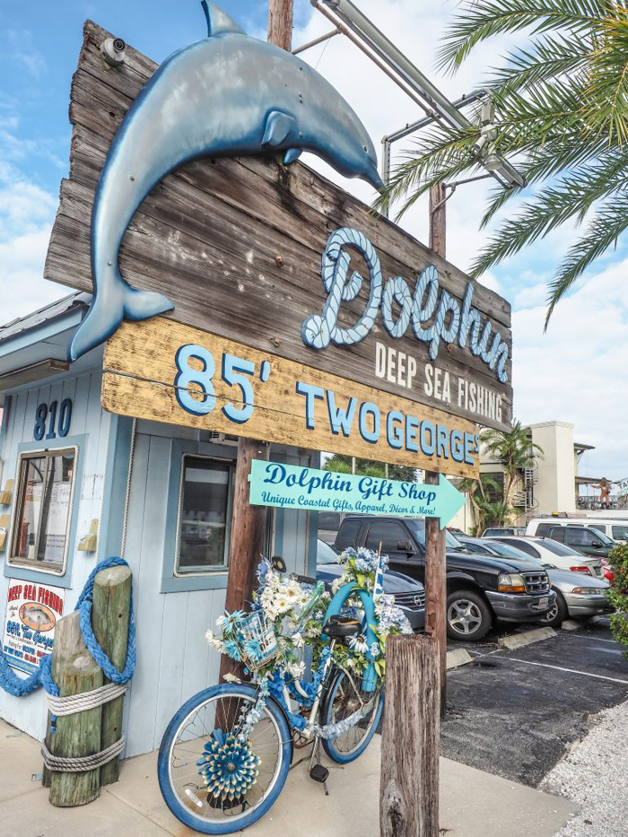 dolphin tours sponge docks