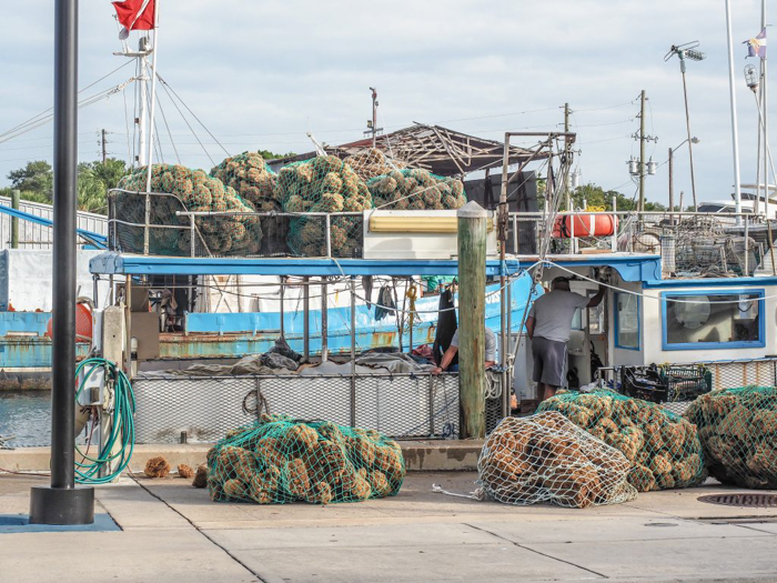 Greeking out at the Tarpon Springs Sponge Docks | What to do in the Tampa Bay area | Greek community | Greek food | Sponge capital of the world | so many sponges