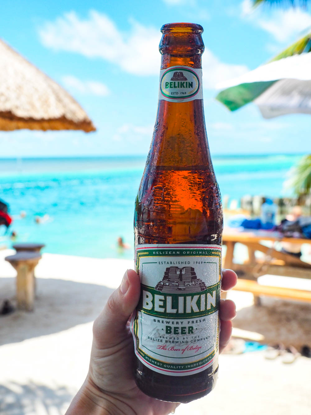 bottle of belikin beer in front of the ocean