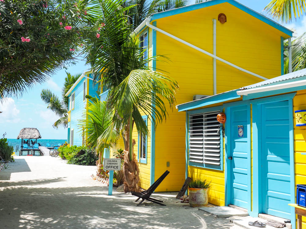 yellow and teal beach cabana under palm trees in belize