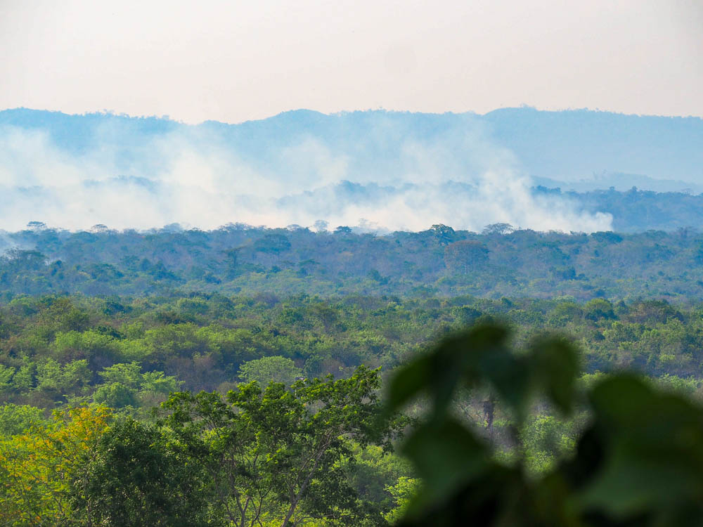 lots of smoke coming from the jungle seen from above