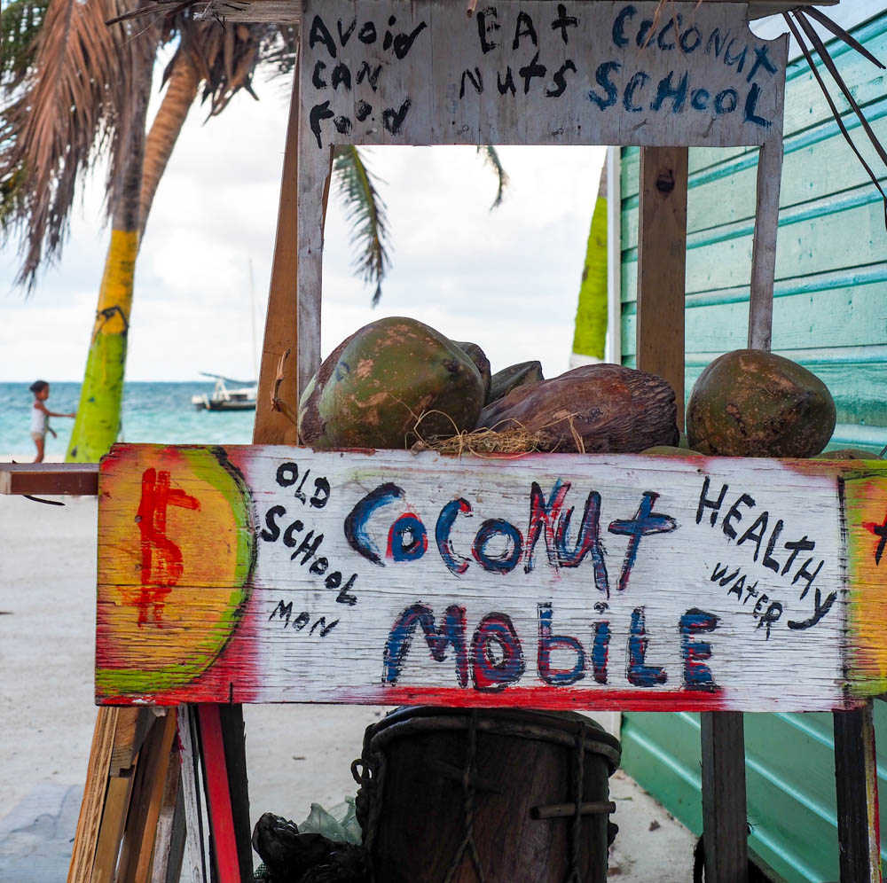 coconut mobile things to do in caye caulker belize